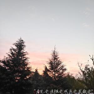 久久久久久久综合综合狠狠
